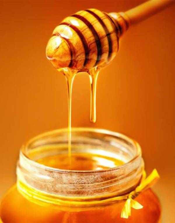 تشخیص عسل طبیعی