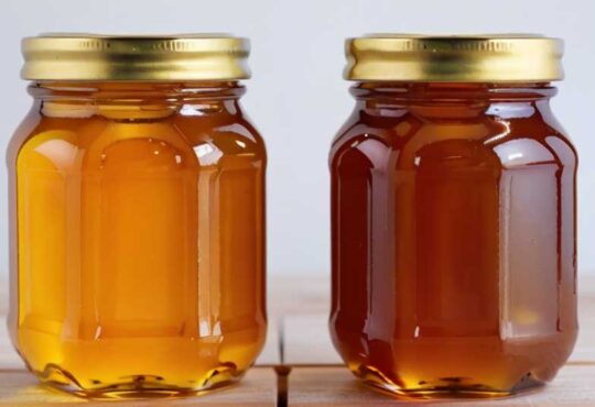 عسل کنار بهتر است یا گون؟