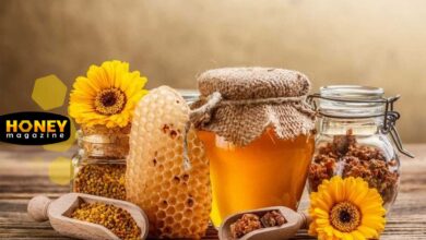 ۱۰ روش اثبات شده علمی برای تشخیص عسل طبیعی از تقلبی (خانگی و آزمایشگاهی)