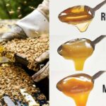 عسل خام یا فرآوری شده؟ کدامیک بهتر است و چرا؟