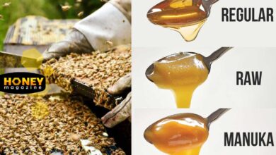 عسل خام یا فرآوری شده؟ کدامیک بهتر است و چرا؟
