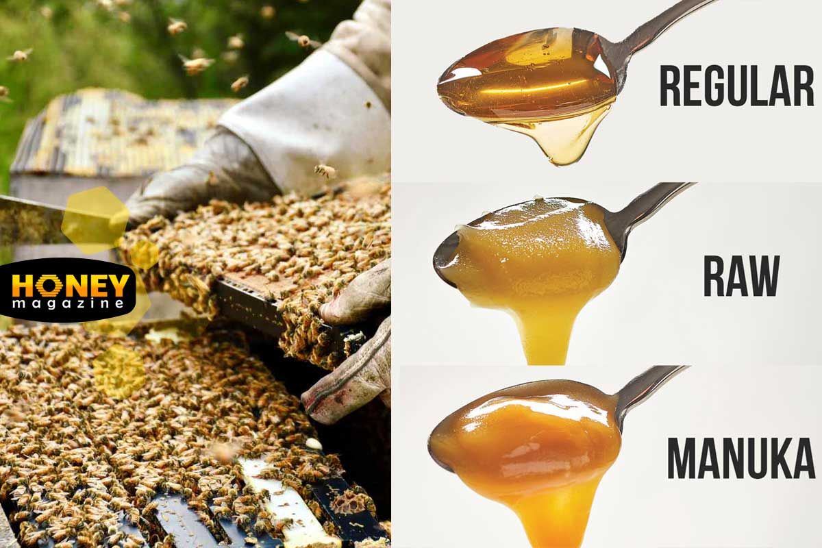 عسل خام یا فرآوری شده؟ کدامیک بهتر است و چرا؟
