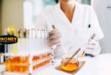 تاثیر عسل بر ایمنی بدن بر اساس جدیدترین تحقیقات پزشکی