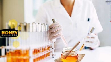 تاثیر عسل بر ایمنی بدن بر اساس جدیدترین تحقیقات پزشکی