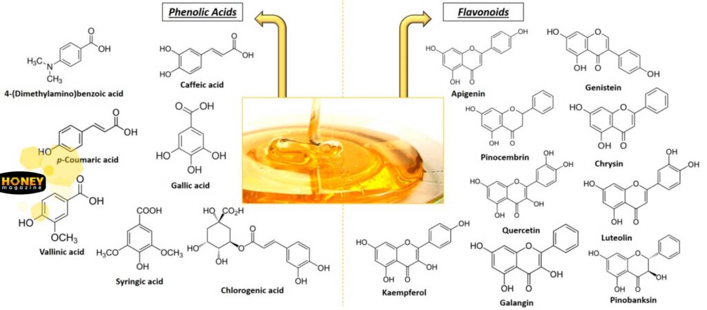 پلی فنول ها و فلاونوئیدها