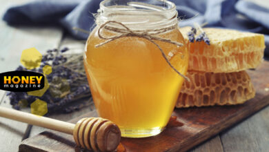 مقایسه درمانی عسل اویشن بهارنارنج و گون برای تقویت سیستم ایمنی