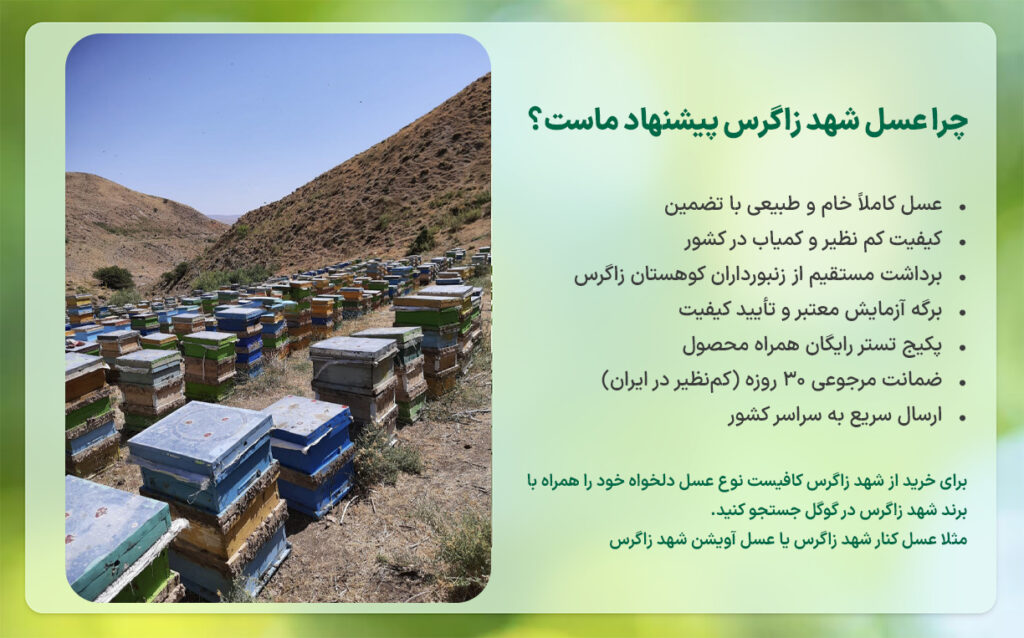 عسل طبیعی و کوهی شهد زاگرس