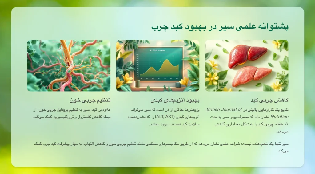 خواص سیر و عسل برای کبد چرب