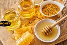 مقایسه ارزش غذایی عسل ایرانی با عسل وارداتی؛ کدام سالمتر است و چرا؟