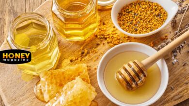 مقایسه ارزش غذایی عسل ایرانی با عسل وارداتی؛ کدام سالمتر است و چرا؟