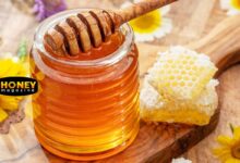 مقایسه ارزش غذایی عسل ایرانی با عسل وارداتی؛ تفاوت ها در مواد مغذی و کیفیت واقعی