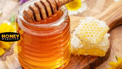 مقایسه ارزش غذایی عسل ایرانی با عسل وارداتی؛ تفاوت ها در مواد مغذی و کیفیت واقعی