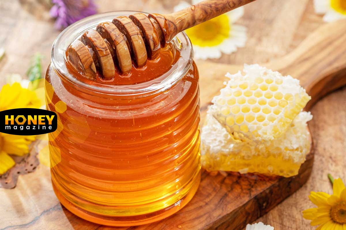 مقایسه ارزش غذایی عسل ایرانی با عسل وارداتی؛ تفاوت ها در مواد مغذی و کیفیت واقعی